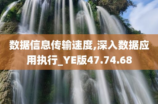 数据信息传输速度,深入数据应用执行_YE版47.74.68