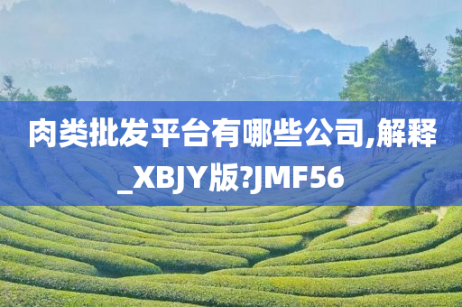 肉类批发平台有哪些公司,解释_XBJY版?JMF56