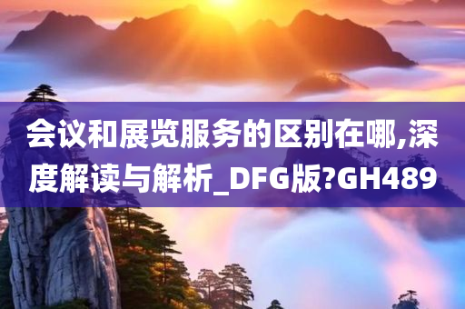 会议和展览服务的区别在哪,深度解读与解析_DFG版?GH489