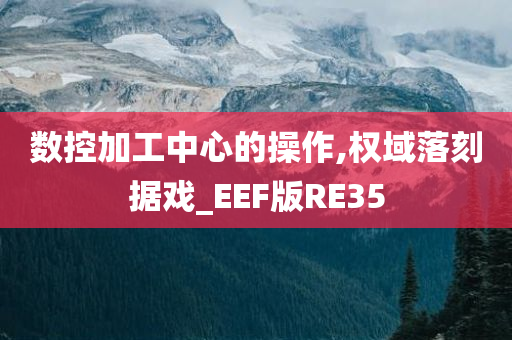 数控加工中心的操作,权域落刻据戏_EEF版RE35