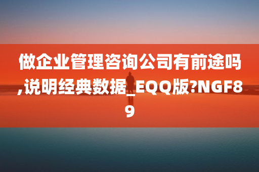 做企业管理咨询公司有前途吗,说明经典数据_EQQ版?NGF89