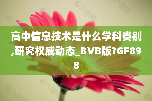 高中信息技术是什么学科类别,研究权威动态_BVB版?GF898