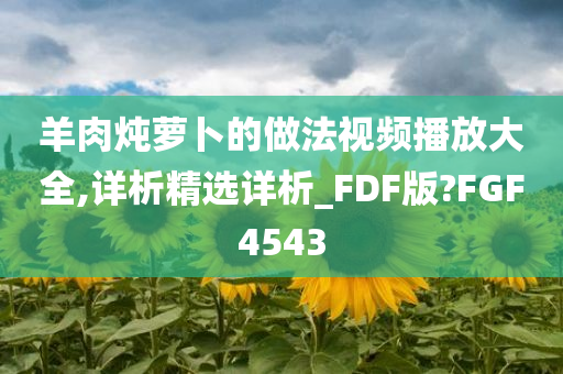 羊肉炖萝卜的做法视频播放大全,详析精选详析_FDF版?FGF4543