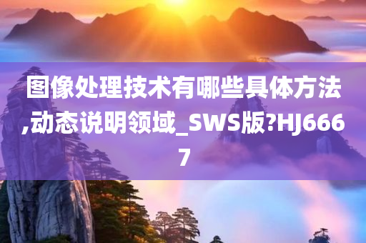 图像处理技术有哪些具体方法,动态说明领域_SWS版?HJ6667