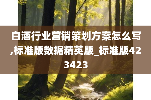 白酒行业营销策划方案怎么写,标准版数据精英版_标准版423423