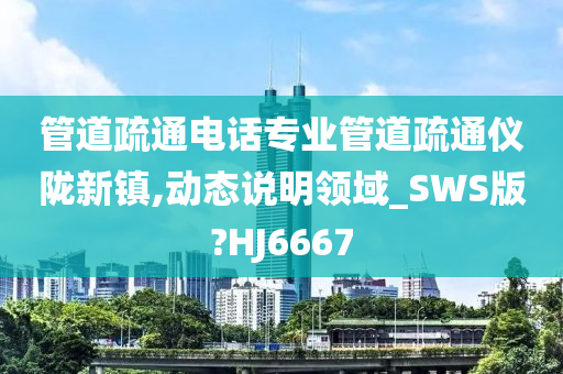 管道疏通电话专业管道疏通仪陇新镇,动态说明领域_SWS版?HJ6667