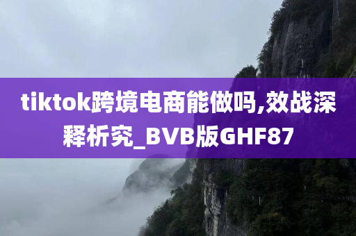 tiktok跨境电商能做吗,效战深释析究_BVB版GHF87