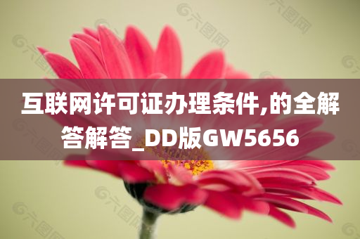 互联网许可证办理条件,的全解答解答_DD版GW5656