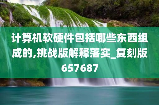 计算机软硬件包括哪些东西组成的,挑战版解释落实_复刻版657687