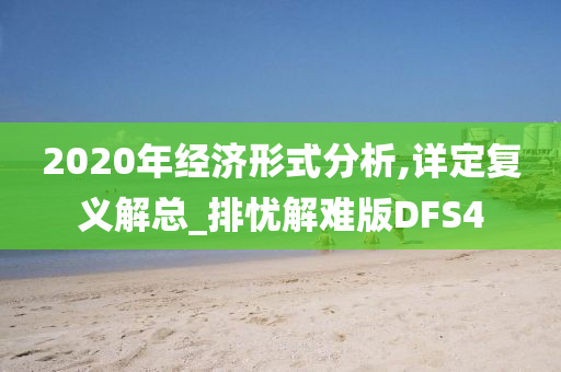 2020年经济形式分析,详定复义解总_排忧解难版DFS4