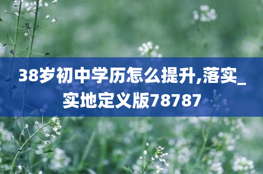 38岁初中学历怎么提升,落实_实地定义版78787