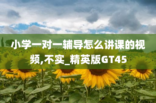 小学一对一辅导怎么讲课的视频,不实_精英版GT45