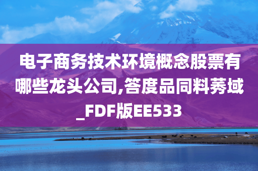 电子商务技术环境概念股票有哪些龙头公司,答度品同料莠域_FDF版EE533