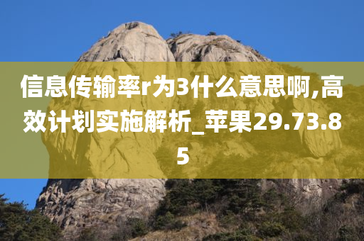 信息传输率r为3什么意思啊,高效计划实施解析_苹果29.73.85