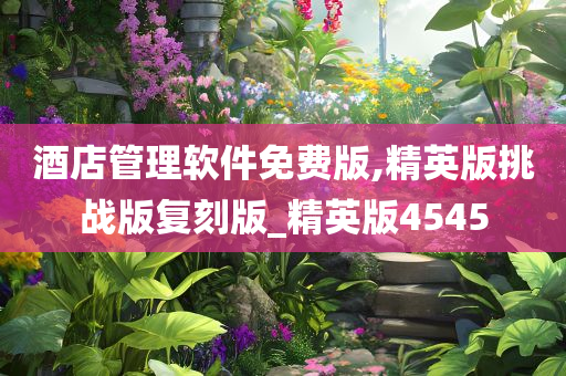 酒店管理软件免费版,精英版挑战版复刻版_精英版4545