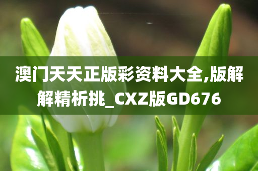 澳门天天正版彩资料大全,版解解精析挑_CXZ版GD676