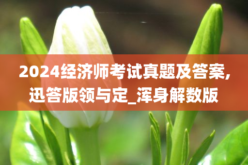 2024经济师考试真题及答案,迅答版领与定_浑身解数版