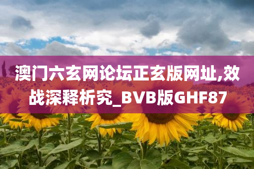 BVB版GHF87