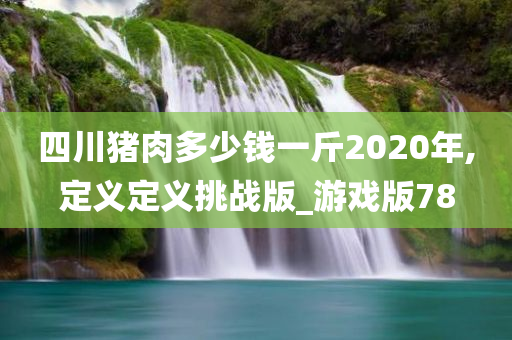 四川猪肉多少钱一斤2020年,定义定义挑战版_游戏版78