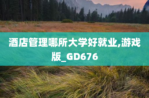 酒店管理哪所大学好就业,游戏版_GD676