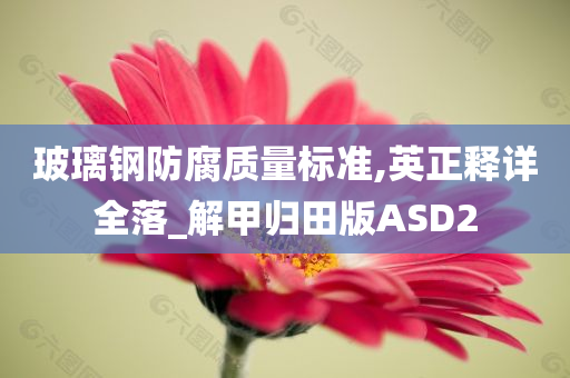 玻璃钢防腐质量标准,英正释详全落_解甲归田版ASD2