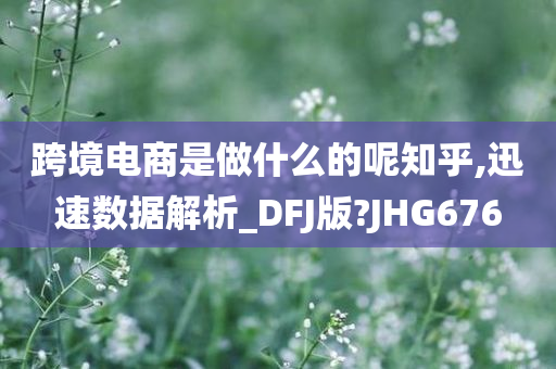 跨境电商是做什么的呢知乎,迅速数据解析_DFJ版?JHG676