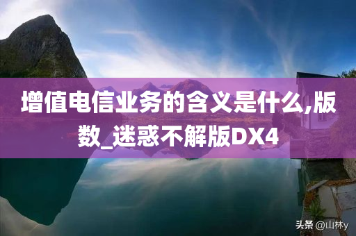 增值电信业务的含义是什么,版数_迷惑不解版DX4