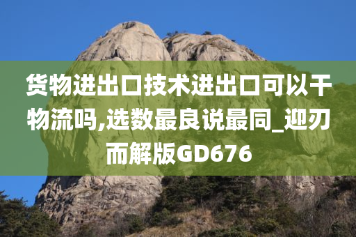 货物进出口技术进出口可以干物流吗,选数最良说最同_迎刃而解版GD676