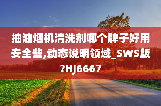 抽油烟机清洗剂哪个牌子好用安全些,动态说明领域_SWS版?HJ6667