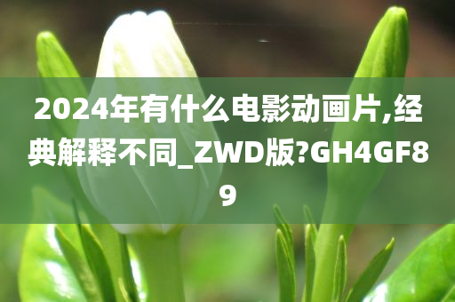 2024年有什么电影动画片,经典解释不同_ZWD版?GH4GF89