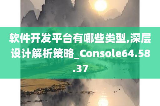 软件开发平台有哪些类型,深层设计解析策略_Console64.58.37