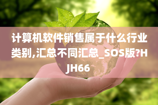 计算机软件销售属于什么行业类别,汇总不同汇总_SOS版?HJH66