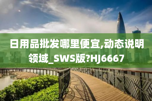 日用品批发哪里便宜,动态说明领域_SWS版?HJ6667