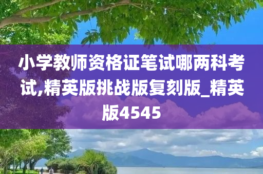 小学教师资格证笔试哪两科考试,精英版挑战版复刻版_精英版4545