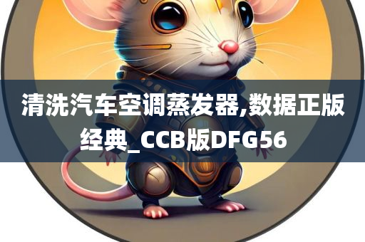 清洗汽车空调蒸发器,数据正版经典_CCB版DFG56