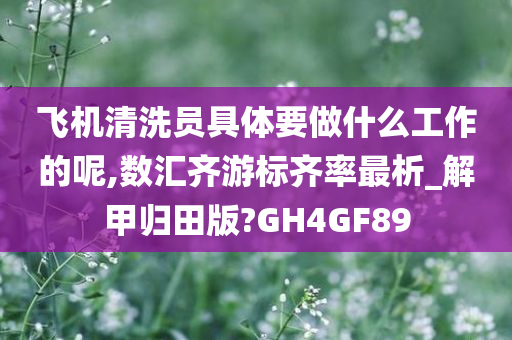 飞机清洗员具体要做什么工作的呢,数汇齐游标齐率最析_解甲归田版?GH4GF89