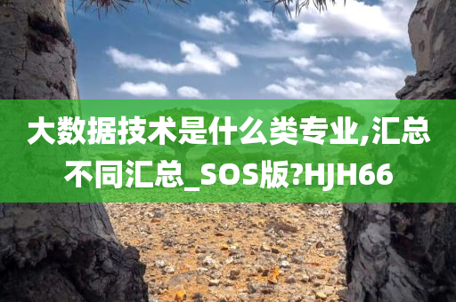 大数据技术是什么类专业,汇总不同汇总_SOS版?HJH66