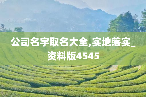 公司名字取名大全,实地落实_资料版4545