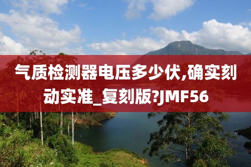 气质检测器电压多少伏,确实刻动实准_复刻版?JMF56