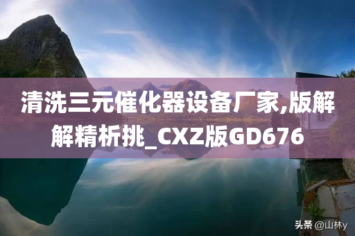 清洗三元催化器设备厂家,版解解精析挑_CXZ版GD676