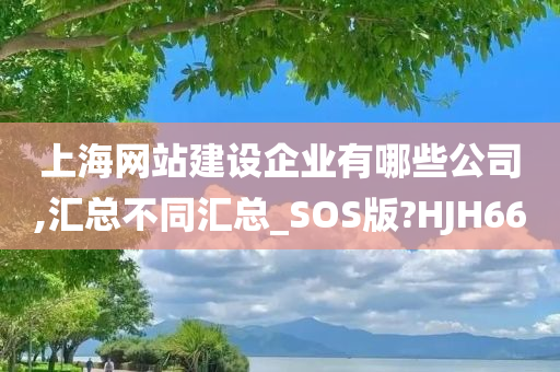 上海网站建设企业有哪些公司,汇总不同汇总_SOS版?HJH66