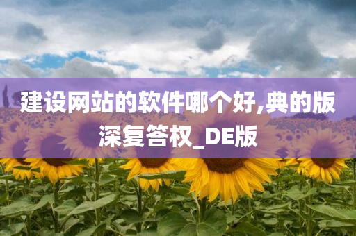 建设网站的软件哪个好,典的版深复答权_DE版