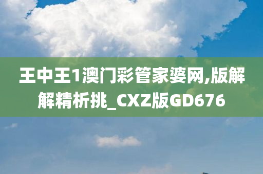 王中王1澳门彩管家婆网,版解解精析挑_CXZ版GD676