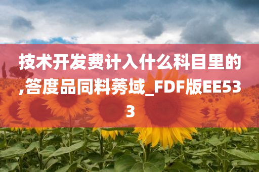 技术开发费计入什么科目里的,答度品同料莠域_FDF版EE533