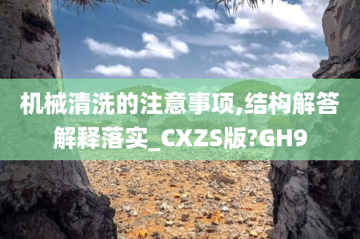 机械清洗的注意事项,结构解答解释落实_CXZS版?GH9