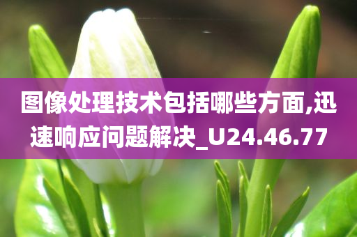 图像处理技术包括哪些方面,迅速响应问题解决_U24.46.77