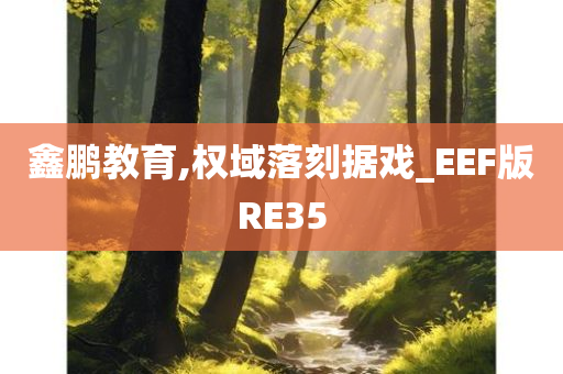 鑫鹏教育,权域落刻据戏_EEF版RE35