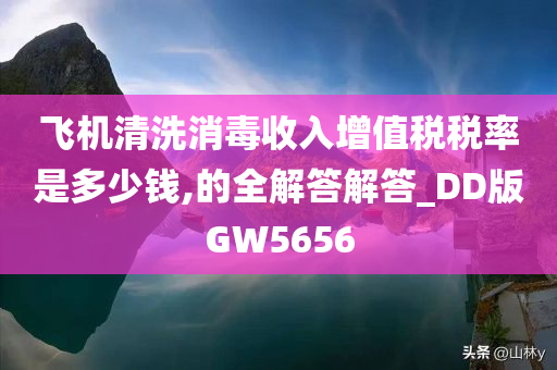 飞机清洗消毒收入增值税税率是多少钱,的全解答解答_DD版GW5656