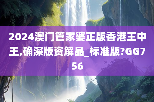 2024澳门管家婆正版香港王中王,确深版资解品_标准版?GG756