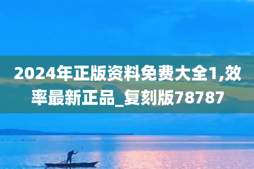 2024年正版资料免费大全1,效率最新正品_复刻版78787